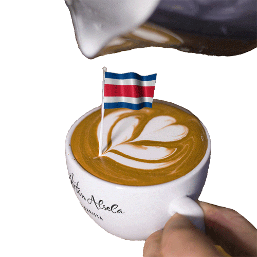 Coffee Coffee