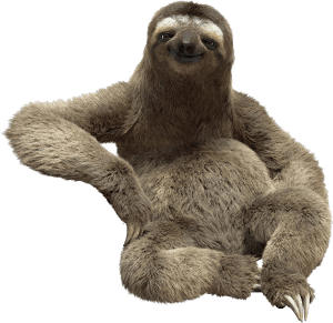 Sloth Sloth