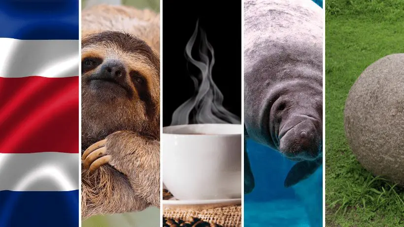 Exploring Costa Rica’s National Symbols: From Flag To Sloth